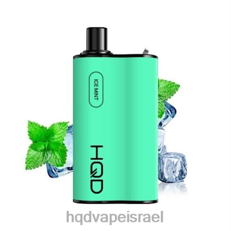 מנטה קרח